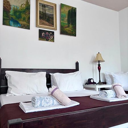 Casa Trandafirilor Hotel Tulcea Bagian luar foto