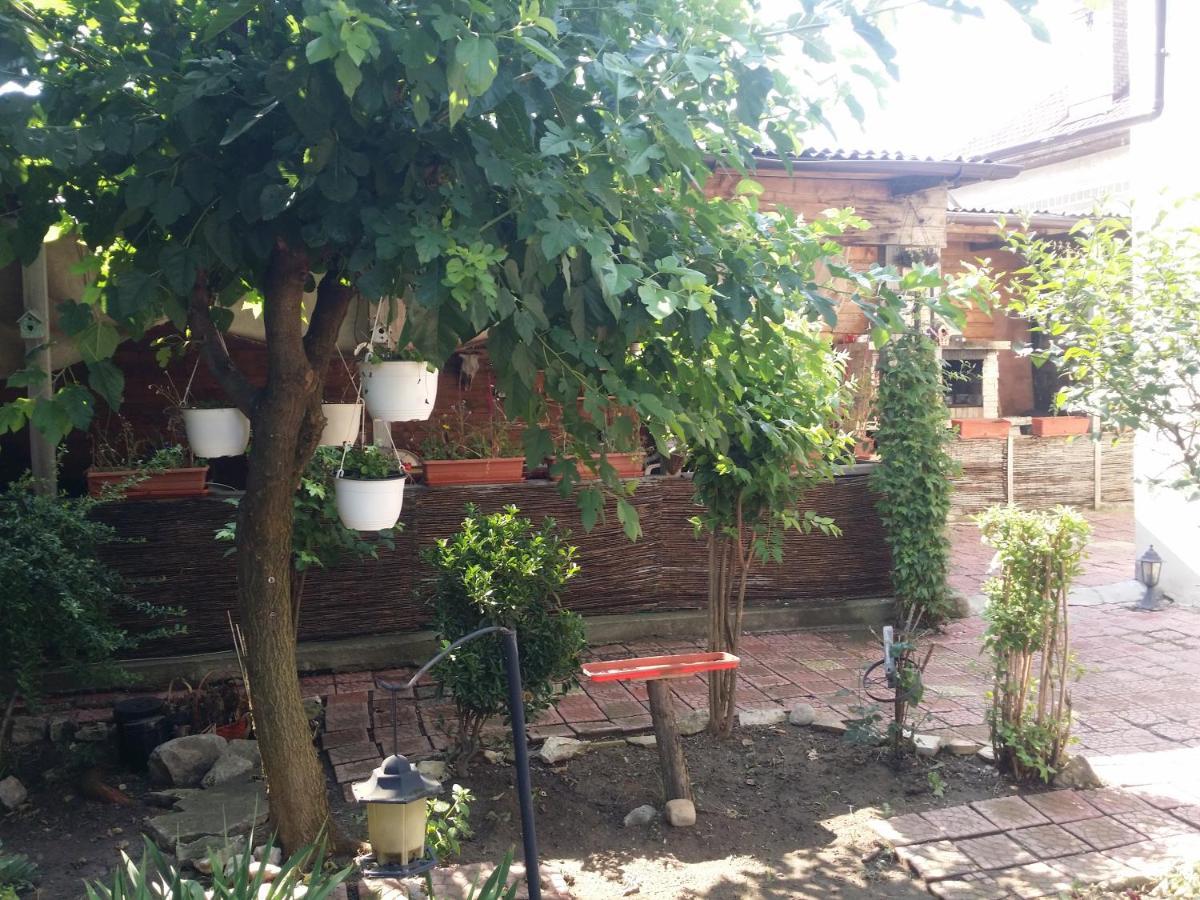 Casa Trandafirilor Hotel Tulcea Bagian luar foto