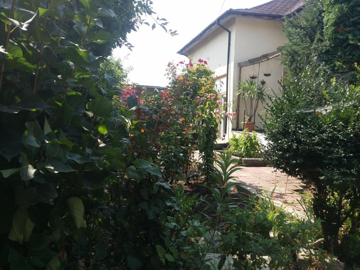 Casa Trandafirilor Hotel Tulcea Bagian luar foto