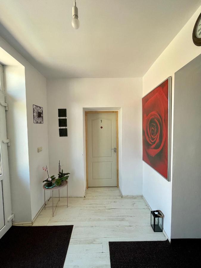 Casa Trandafirilor Hotel Tulcea Bagian luar foto